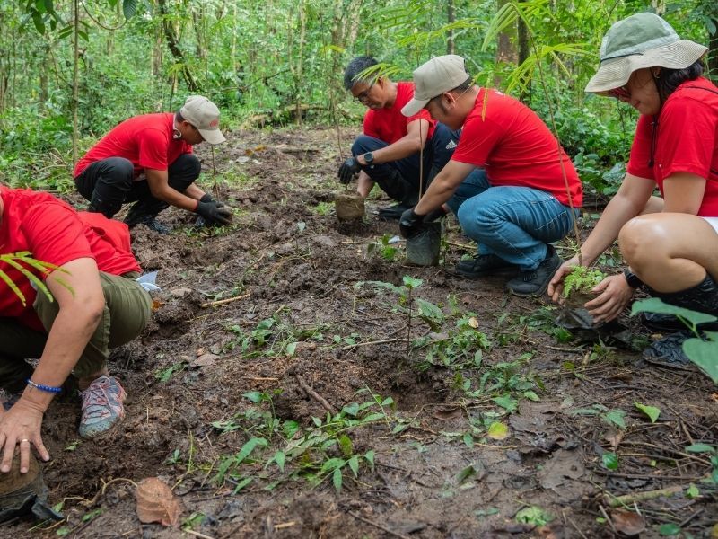 Compañeros agachados plantando brotes en una jornada solidaria